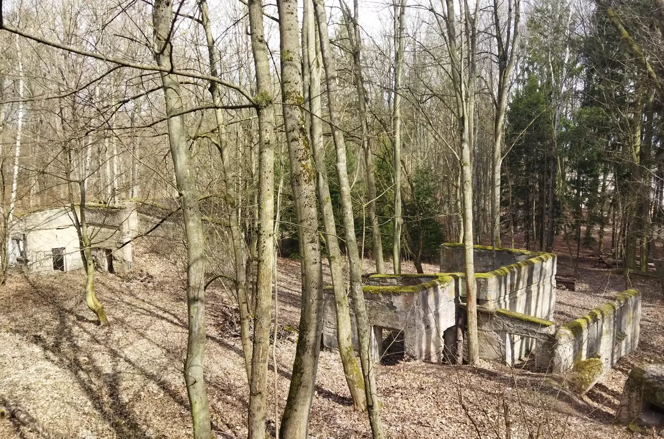 Archeologické léto v Blovicích – Válečná krajina Holýšovska