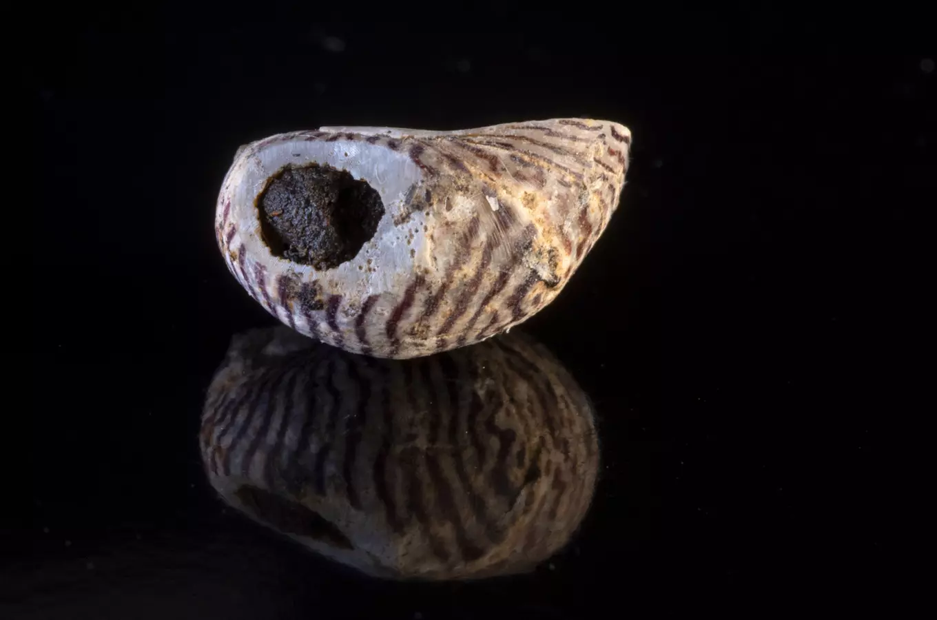 Speciální archeologické prohlídky – netradiční prohlídky Kateřinské jeskyně 2026