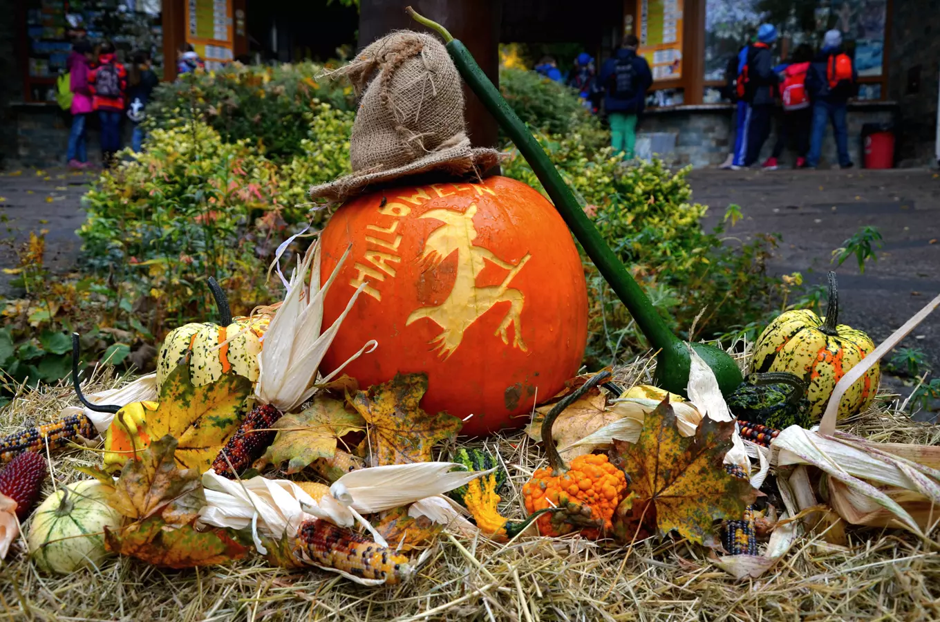 Halloween v Zoo Brno 2026
