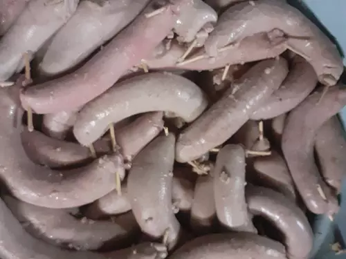 Domácí zabíjačkové hody v Horce nad Moravou