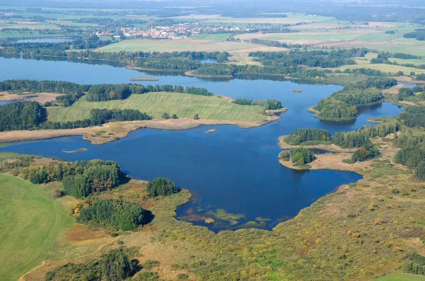 Výlov rybníka Velký Tisý 2026