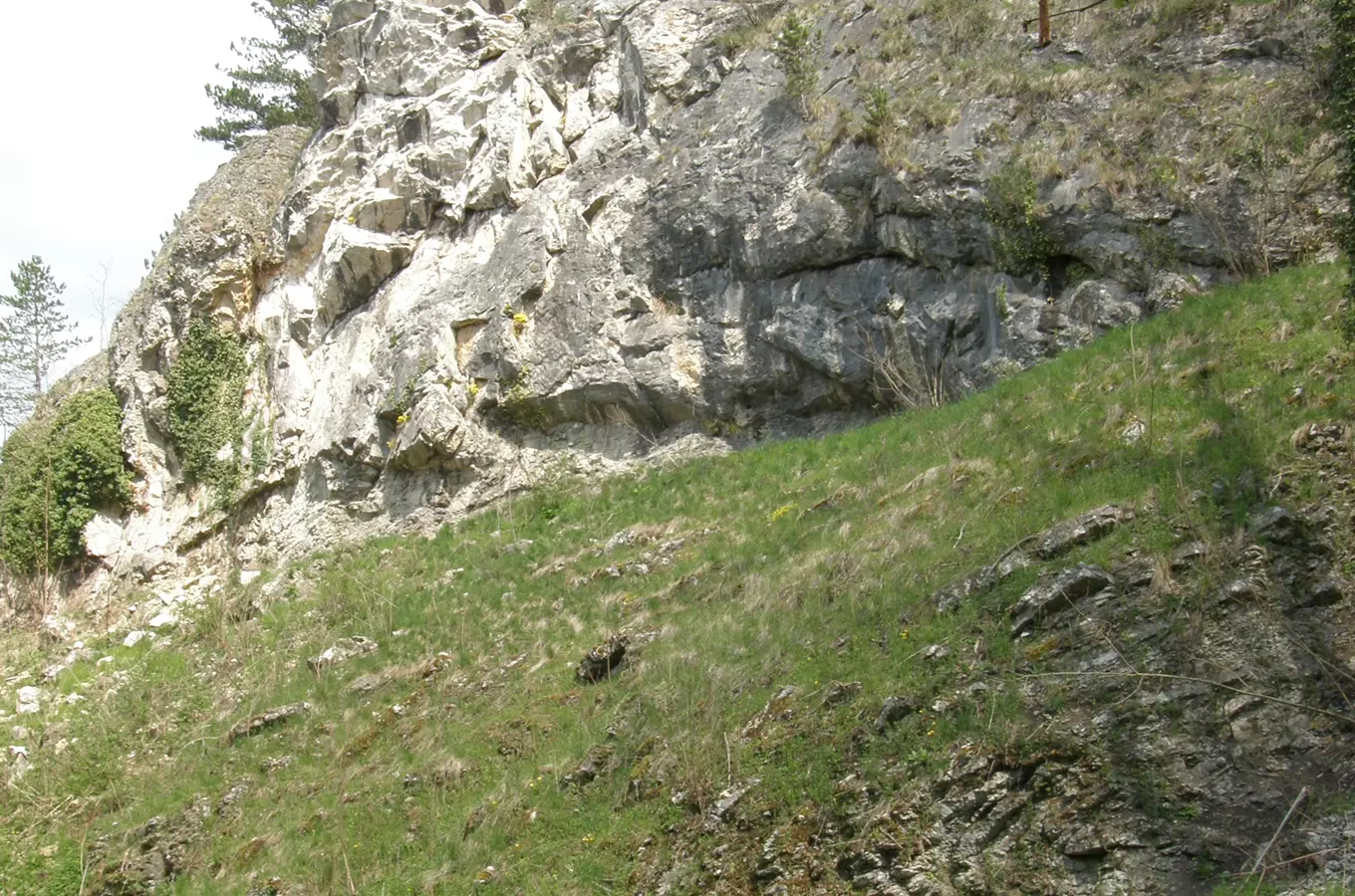 Mezi Berounkou, zkamenělým mořem a výbuchy sopek