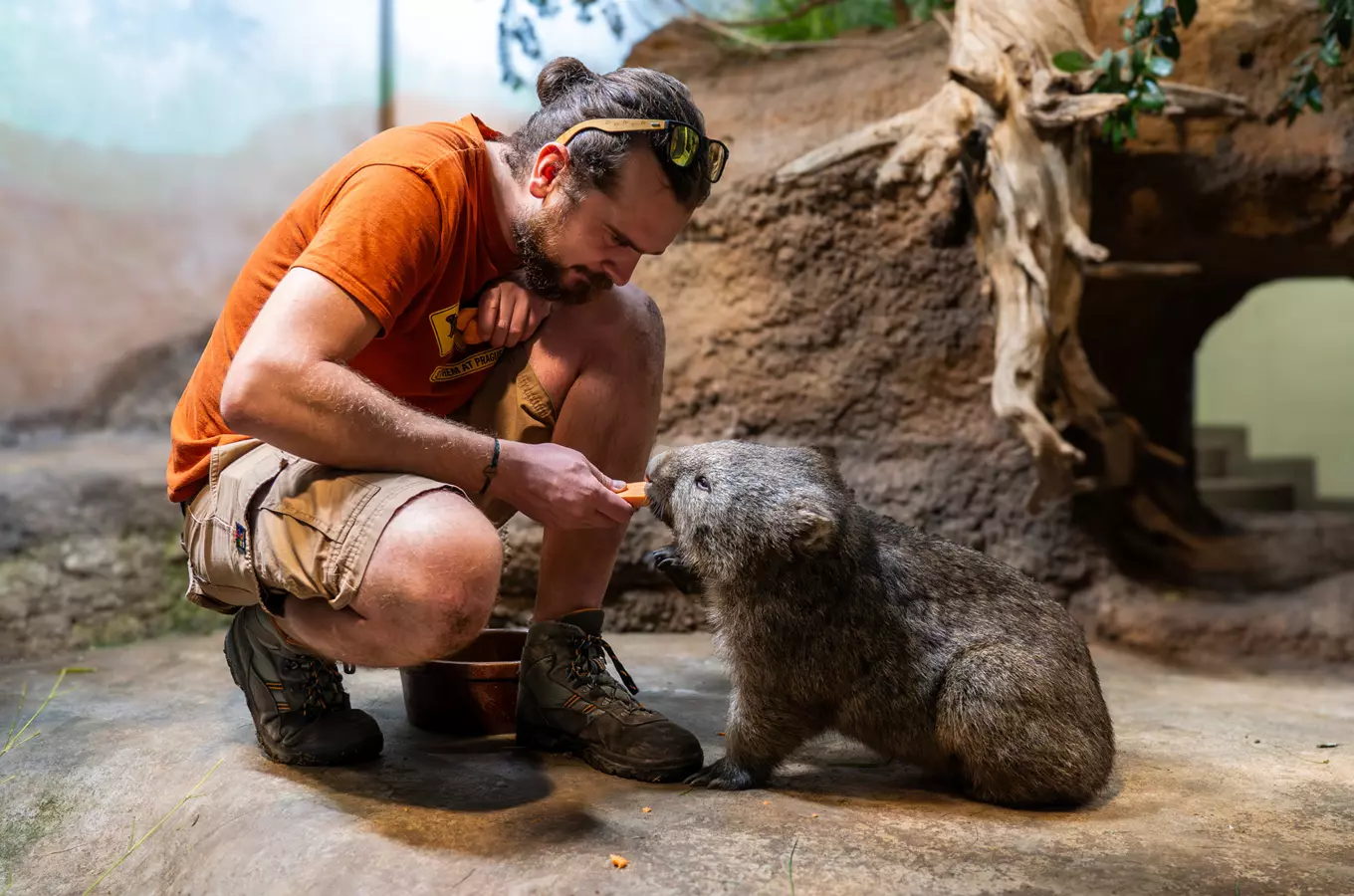 Australský a tasmánský den v Zoo Praha 2026