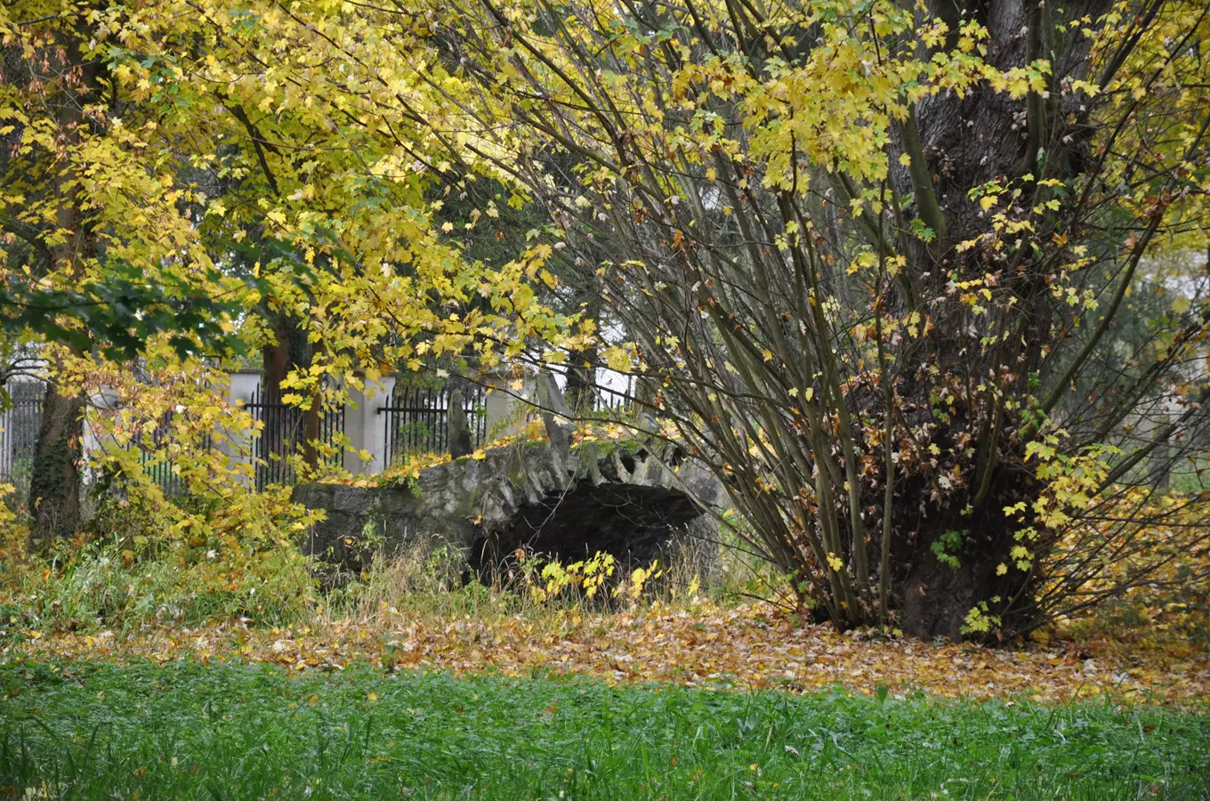 Přednáška – Zámecký park Hradiště: Od historických kořenů k současné podobě