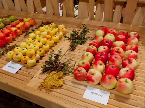 Úroda z polí, zahrad a sadů aneb Valašský hortikomplex