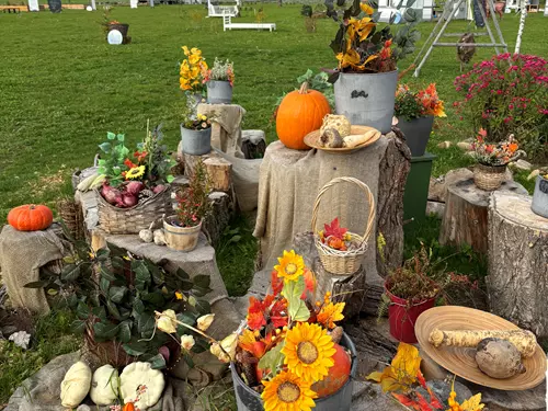 Zvěřinové hody v Levandulovém údolí