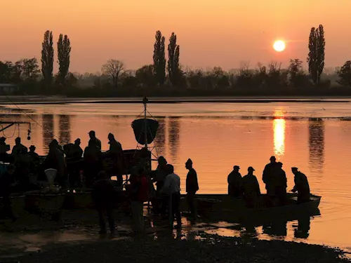 Výlov rybníka Vrkoče 2025