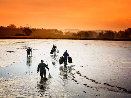 Výlov rybníka Zrcadlo u Kopidlna 2025