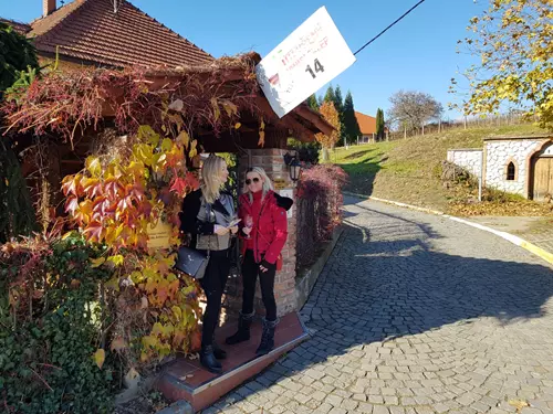 Putování za mladým vínem 2025