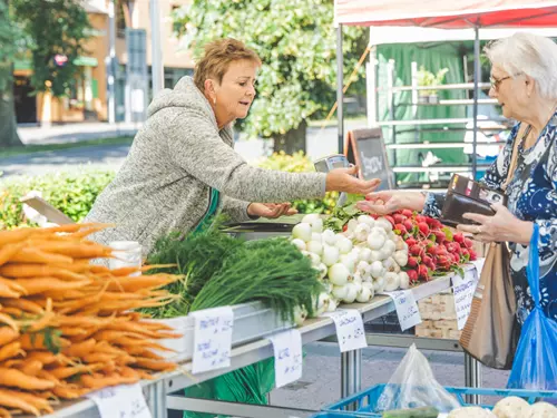 Polabské trhy Čelákovice 2025