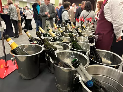 Královský košt Liberec