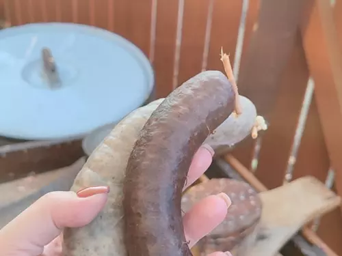 Silvestrovská zabijačka na Pastoušce 2025