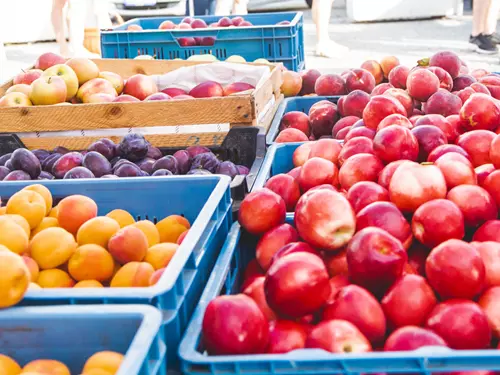 Farmářské trhy v Mladé Boleslavi 2025