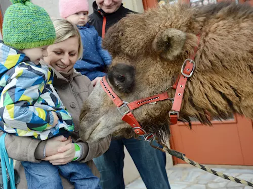 Betlémské trhy v Třebechovicích pod Orebem 2025