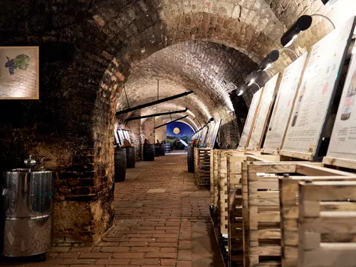 Otevření nové expozice v Salonu vín ČR 2026 Video