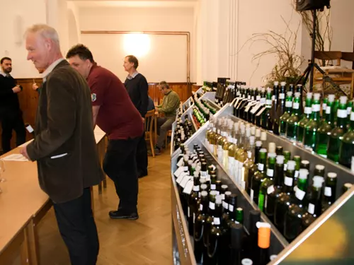 Ochutnávka mladých vín v Miroslavi 2026