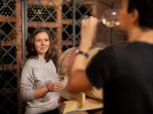 Nedělní komentované prohlídky výroby vína v Botanické zahradě v Troji 2026