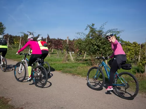 Krajem vína – Na kole vinohrady Uherskohradišťska – otevírání cyklostezek 2026