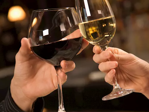 Chutnání mladého vína – sklepy Jaroslavice 2026