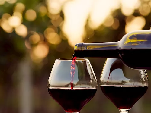 Otevřené vinné sklepy v Čejči 2026