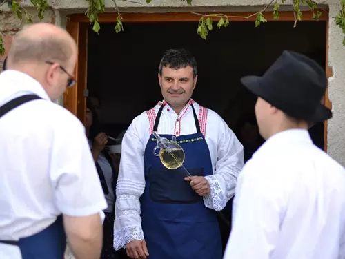 Otevřené sklepy Vrbovec Video