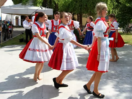 Otevřené sklepy Kyjovska 2026 Video