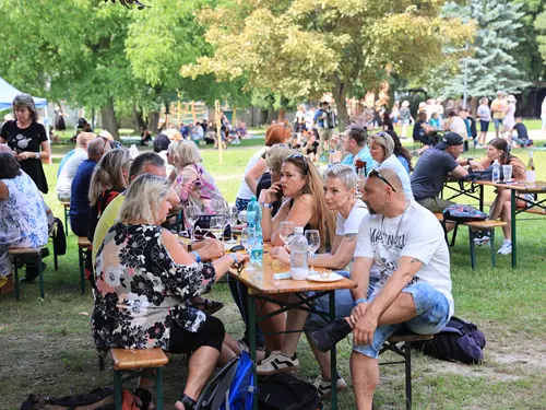 Turnovské pohárky 2026 Video