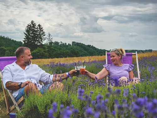 Bezděkovský Levandulový festival 2026 Video