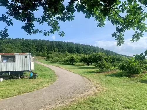Třešňový sad Hoříkovice – každoroční letní samosběr třešní
