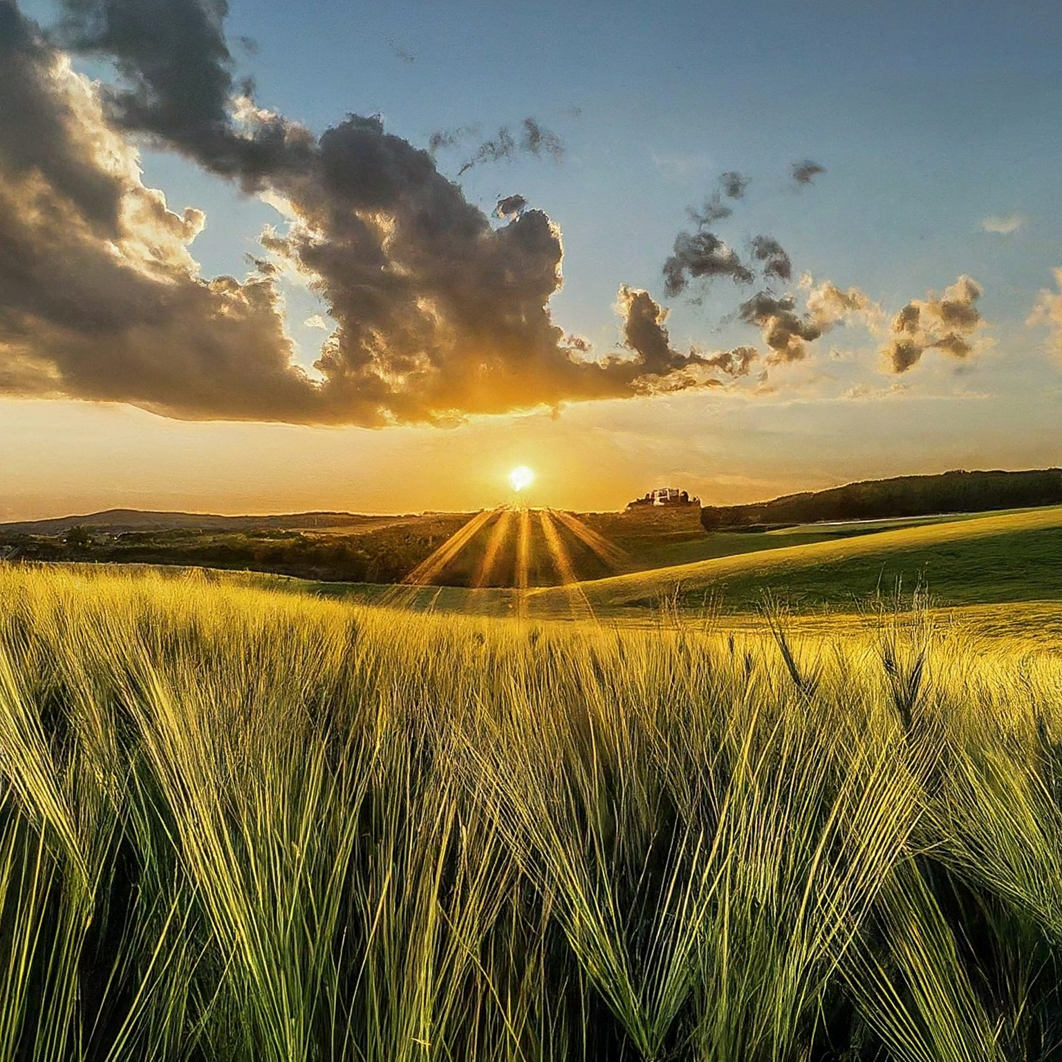 Vítkovská zemědělská, s.r.o.