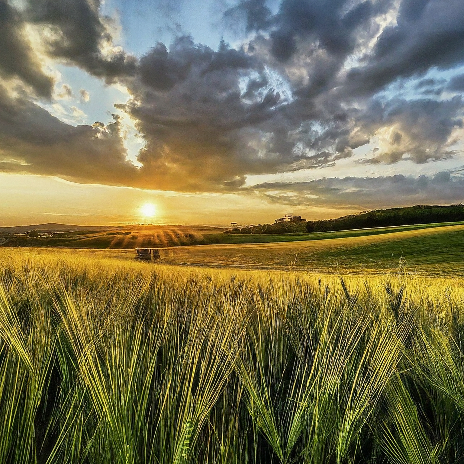 EKO-Farma Kozí Hrádek s.r.o.