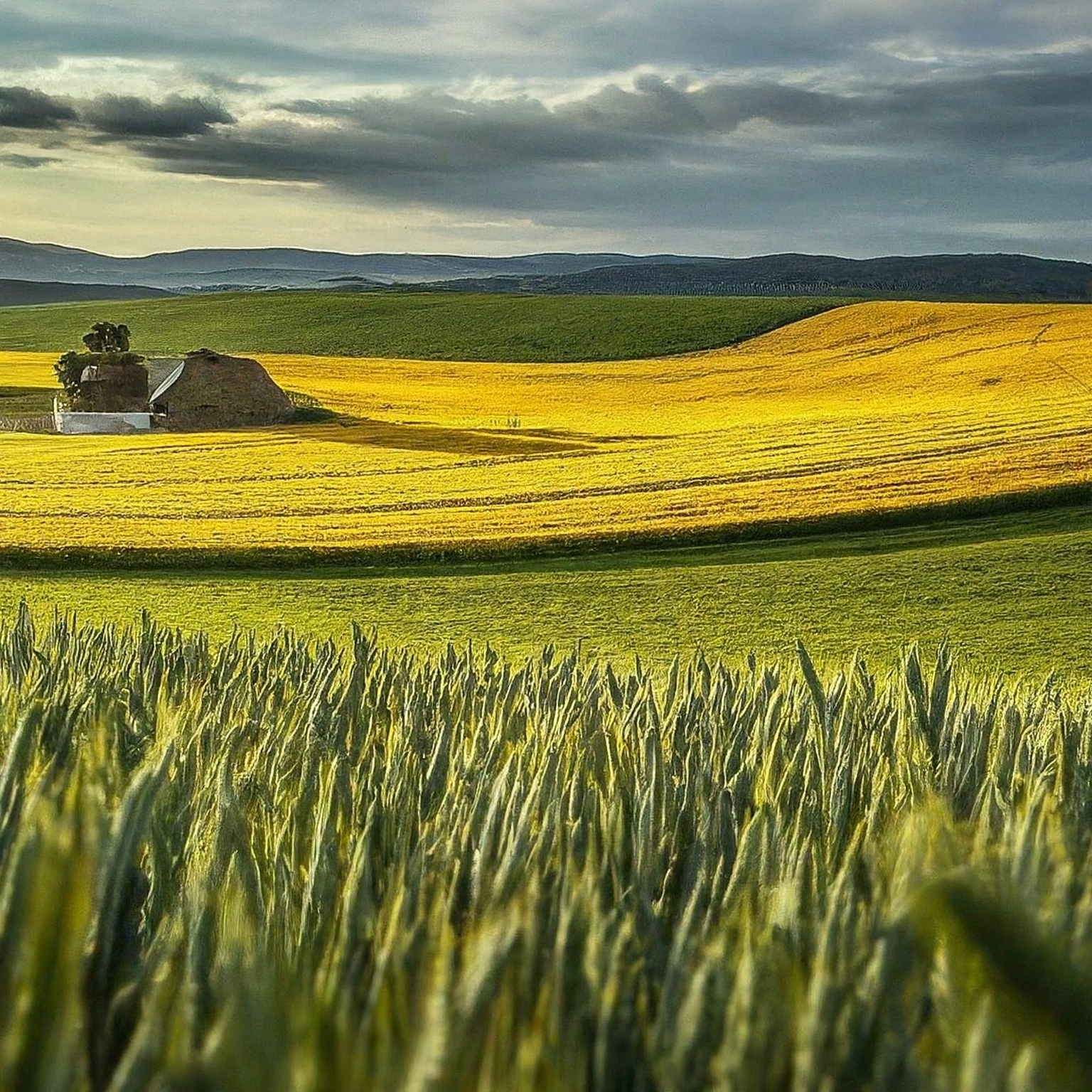 Kozí farma Vizovice