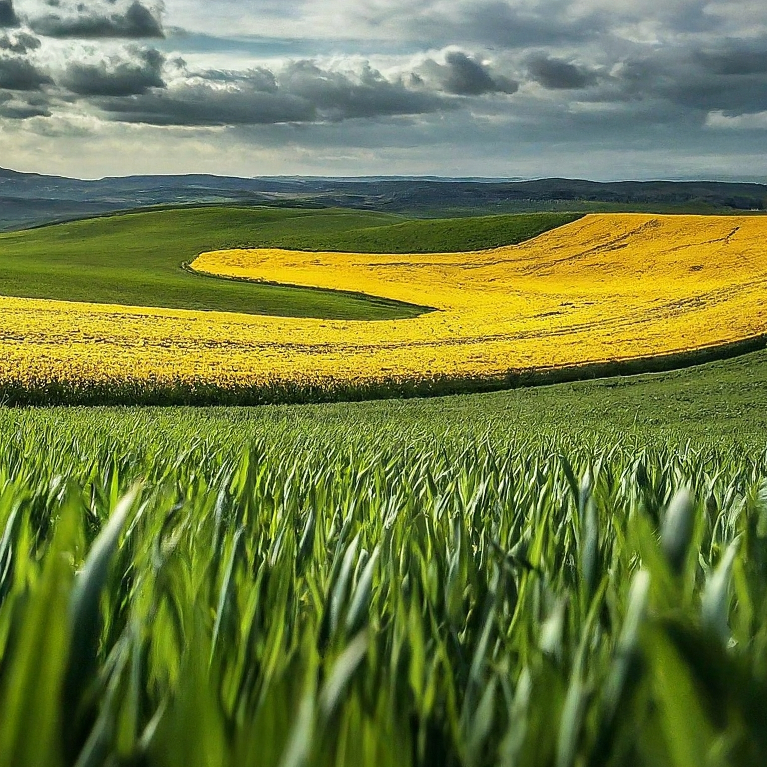 Zelenina z podhůří Vizovických vrchů