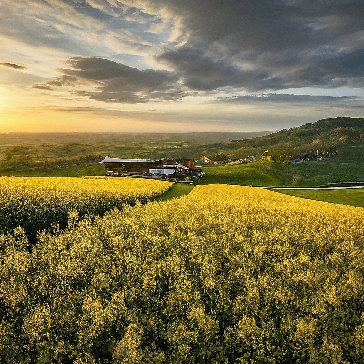 Selka Farmářské bedýnky Brno
