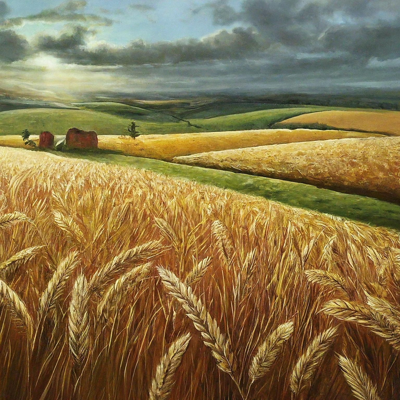 Hospodářství Strakovi