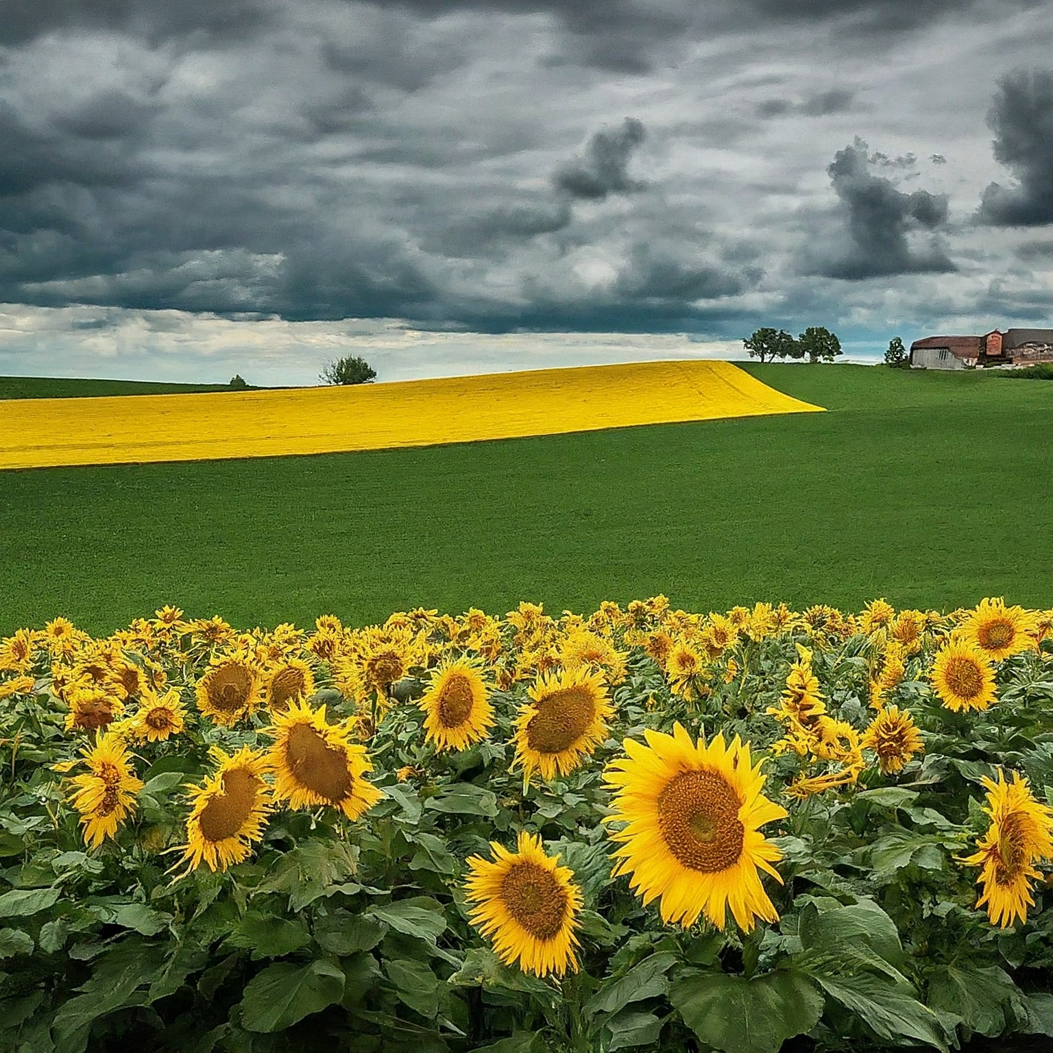 Mlékárna Olešnice, a.s.