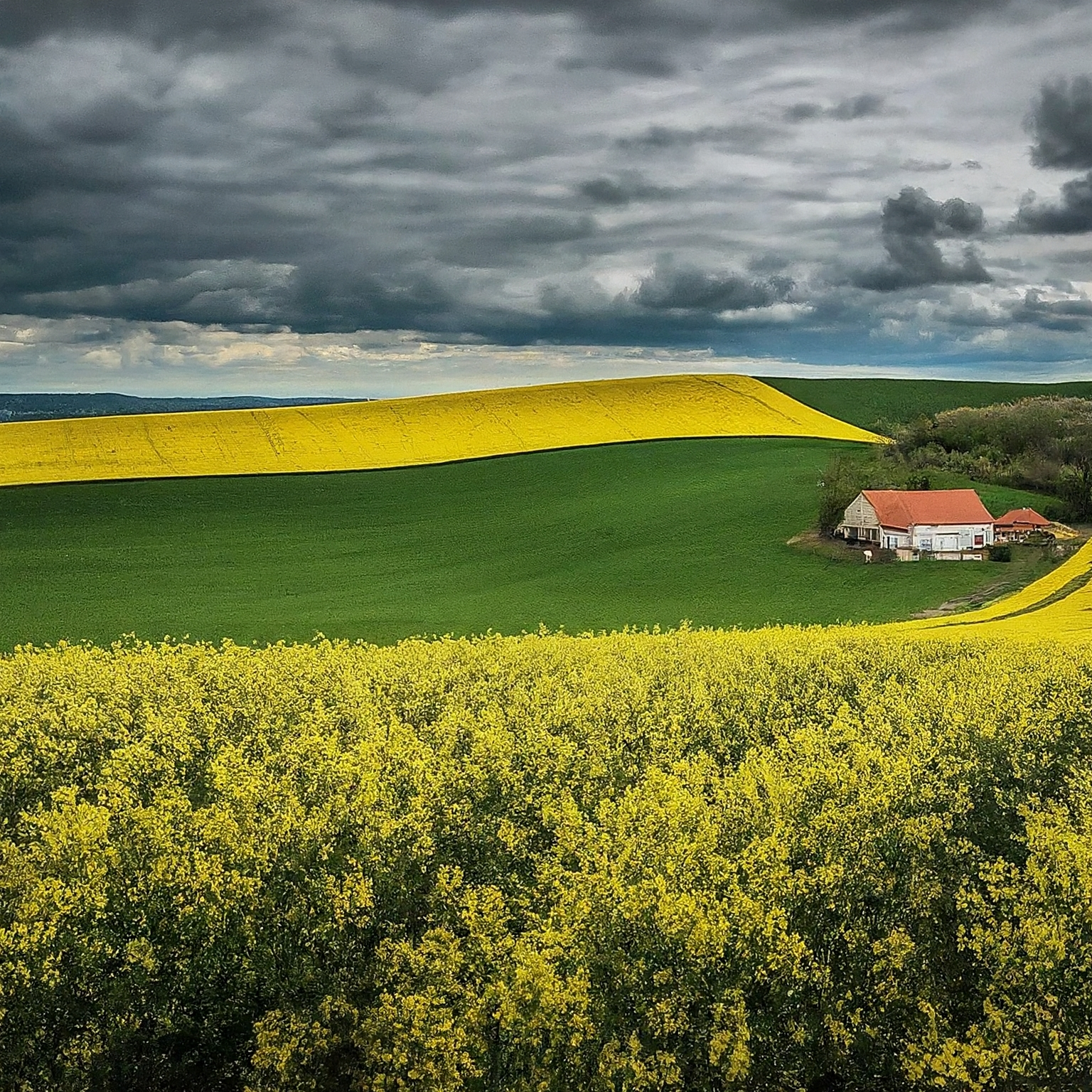 Bogarovo hospodářství