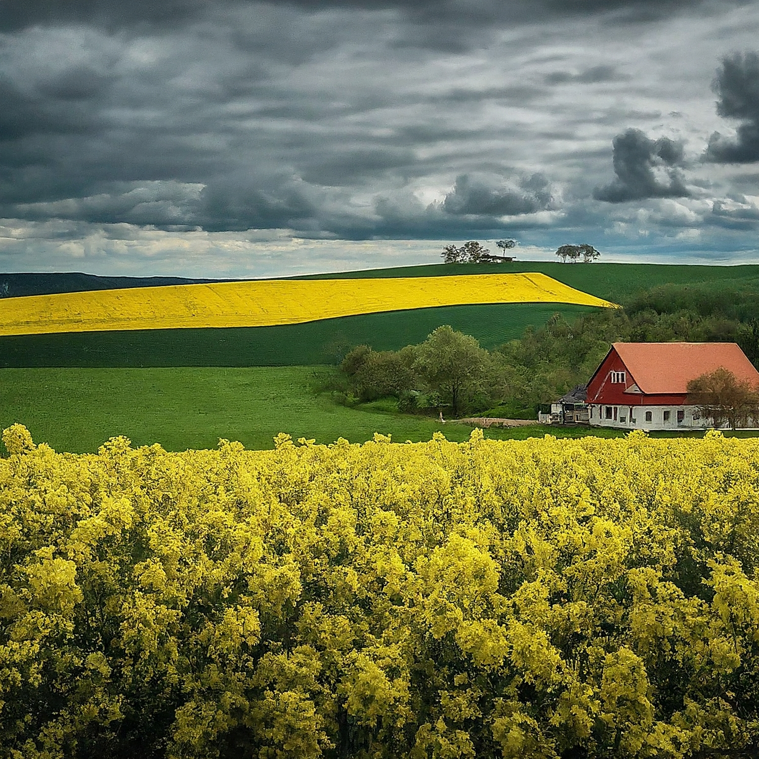 Radim Pešek-Ovocná školka Bojkovice