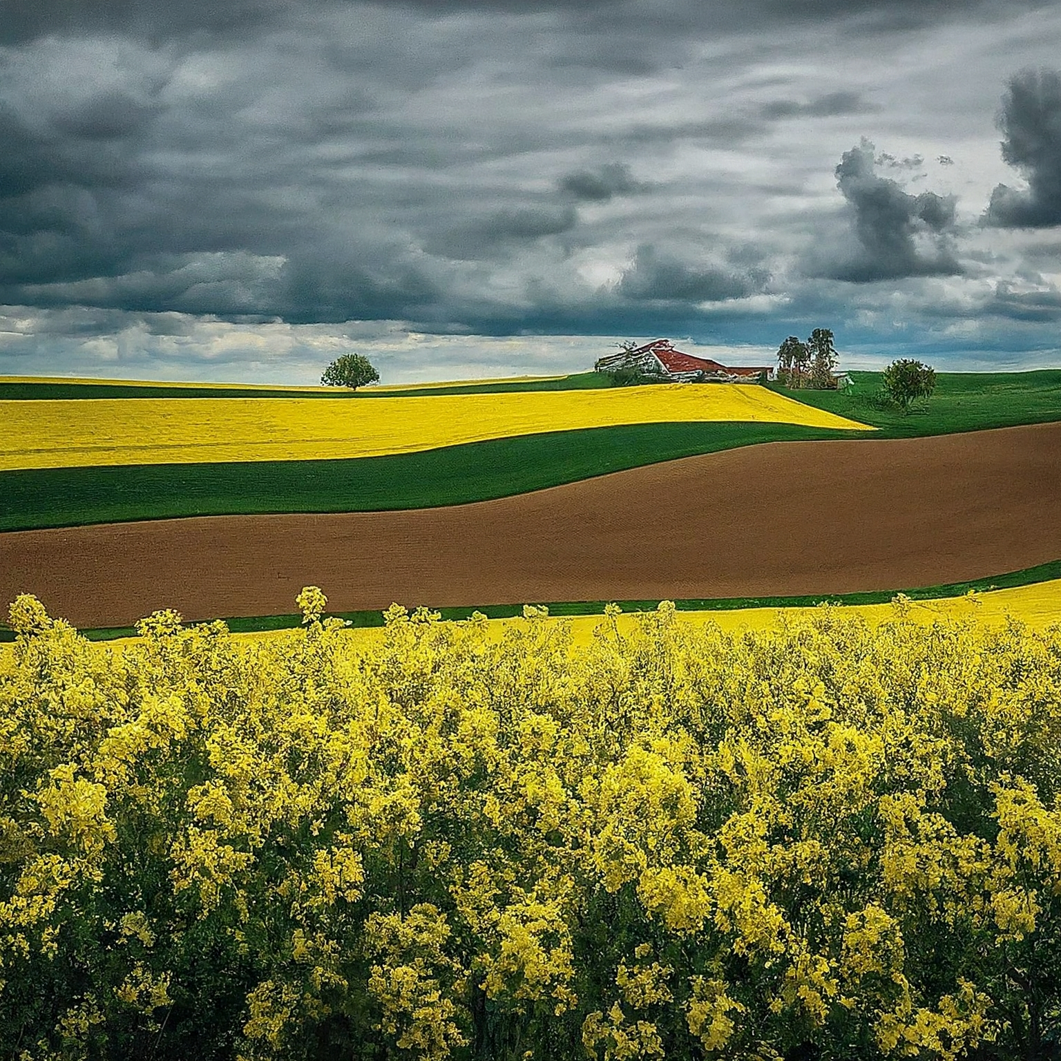 Prodej pstruhů Dolní Bečva