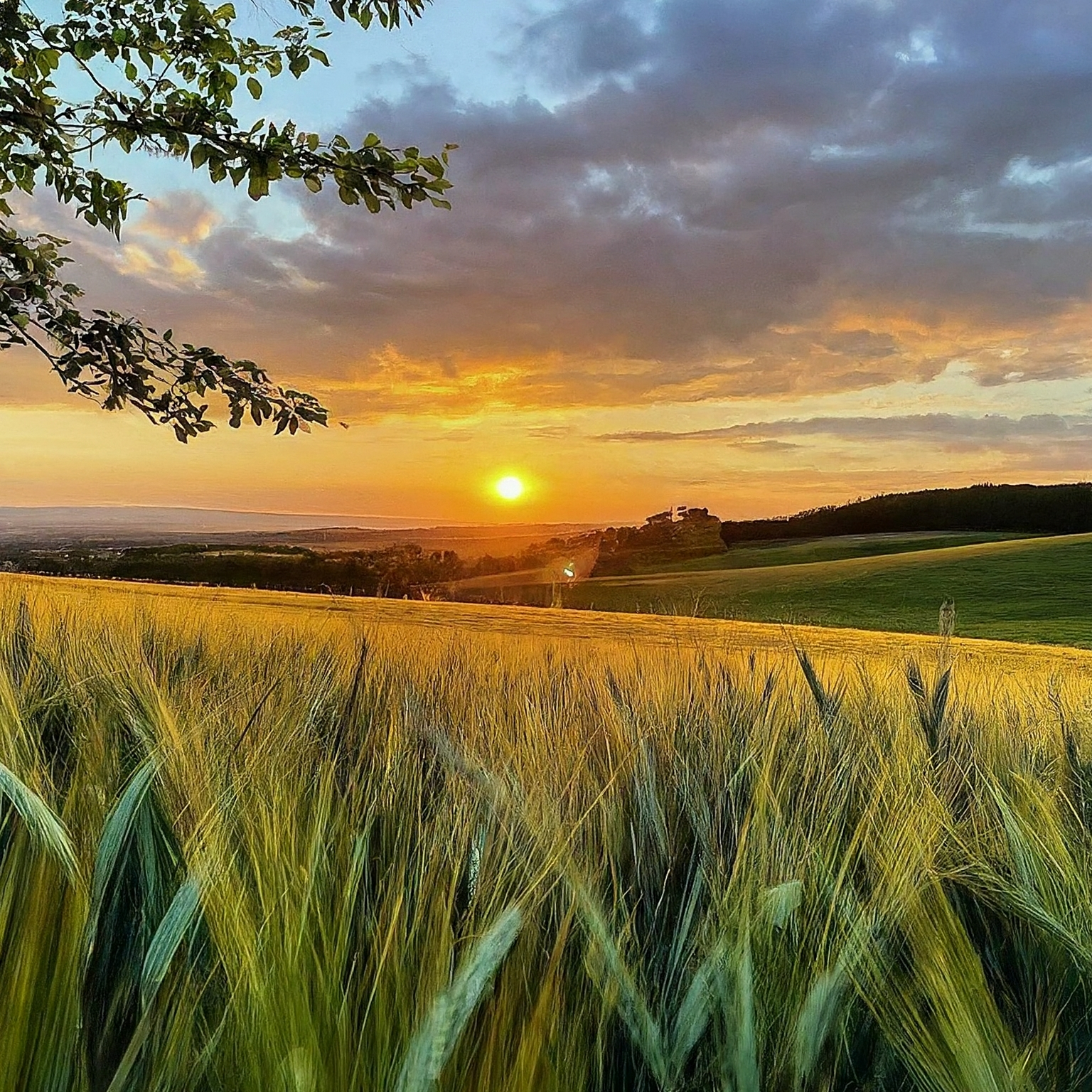 Naděžda Bočková Zahrada Žďárec