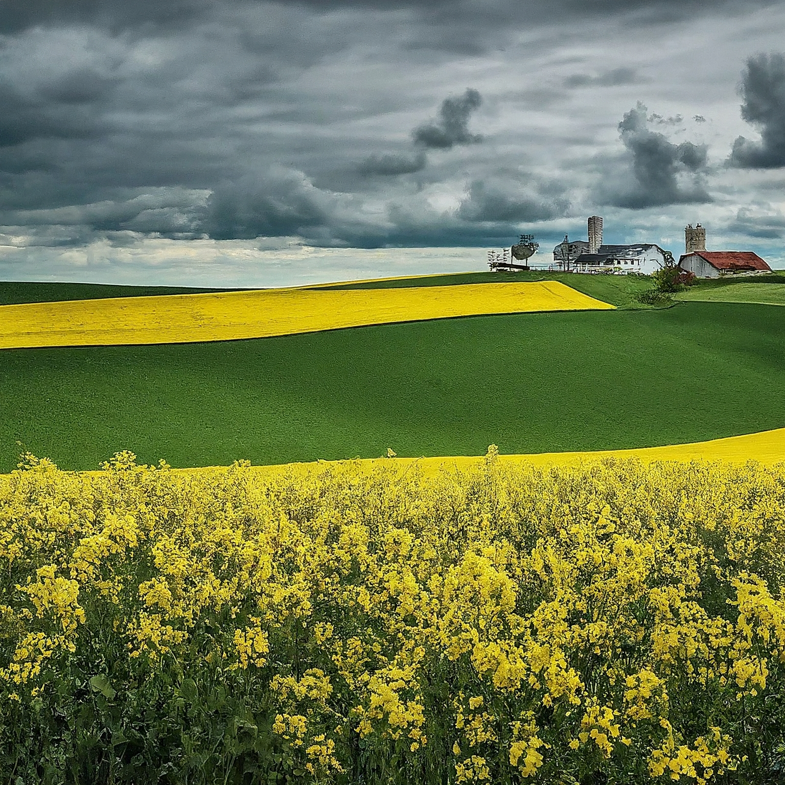 Jesenické farmářské trhy