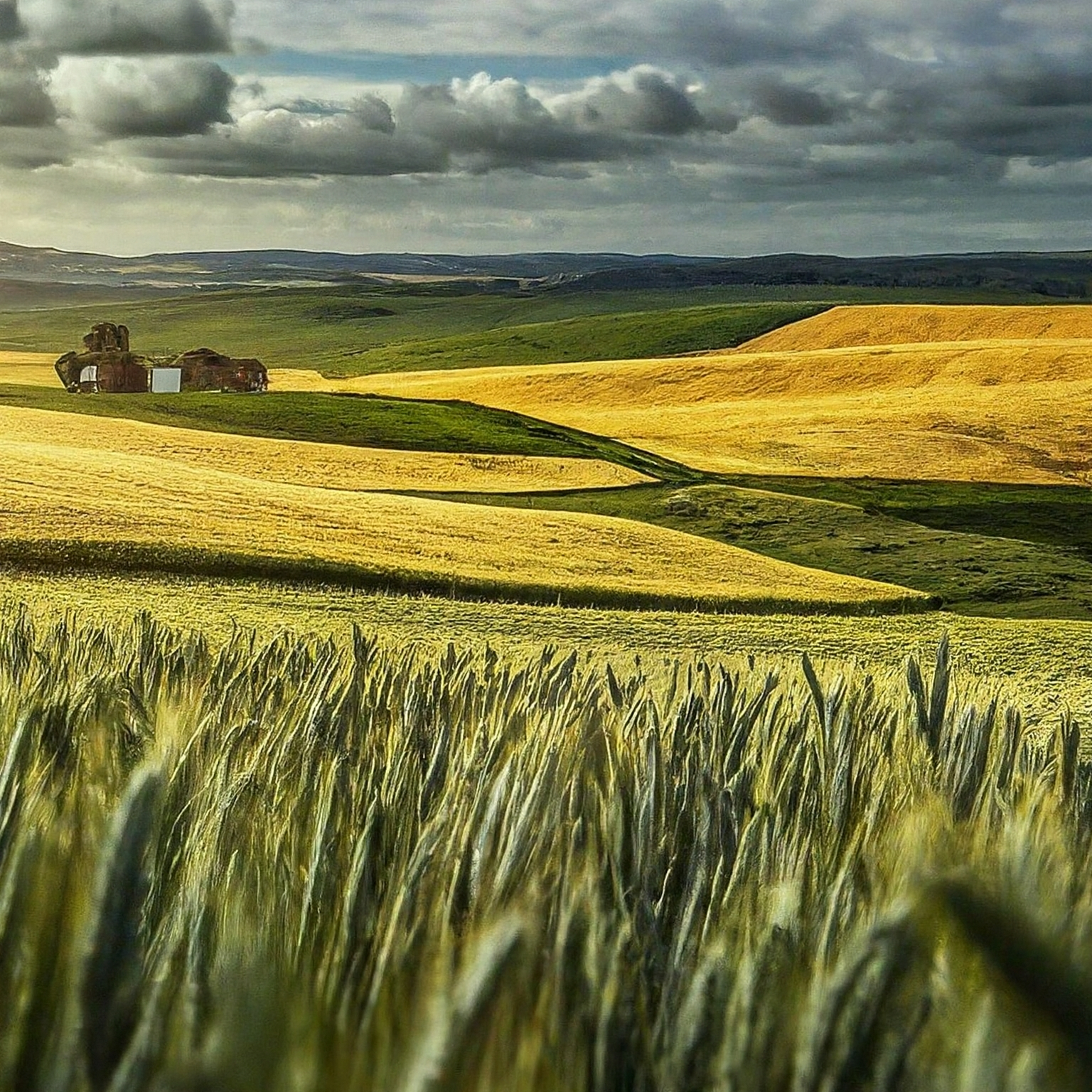 Konzum Ústí nad Orlicí