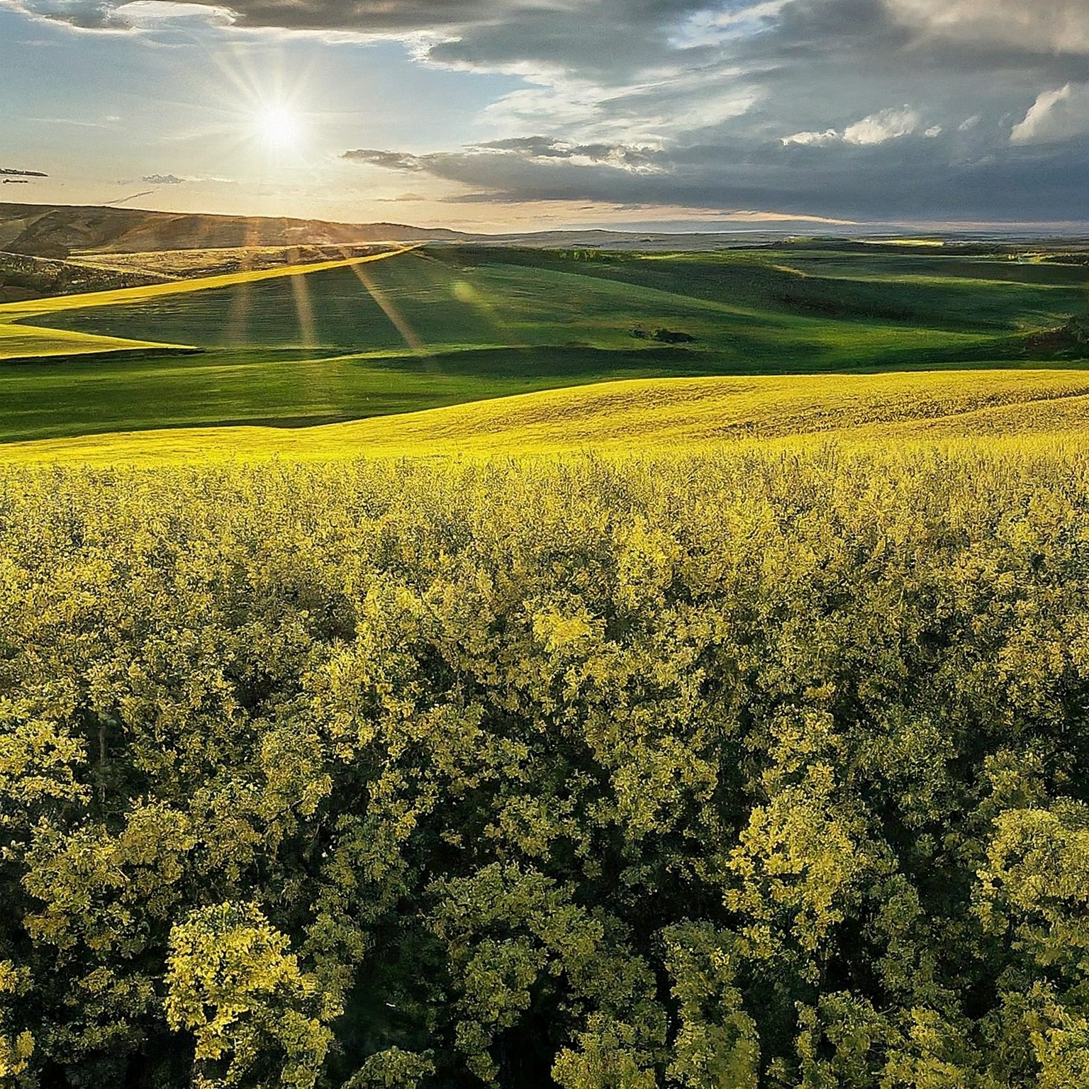 EKOFARMA BALADA, s.r.o.