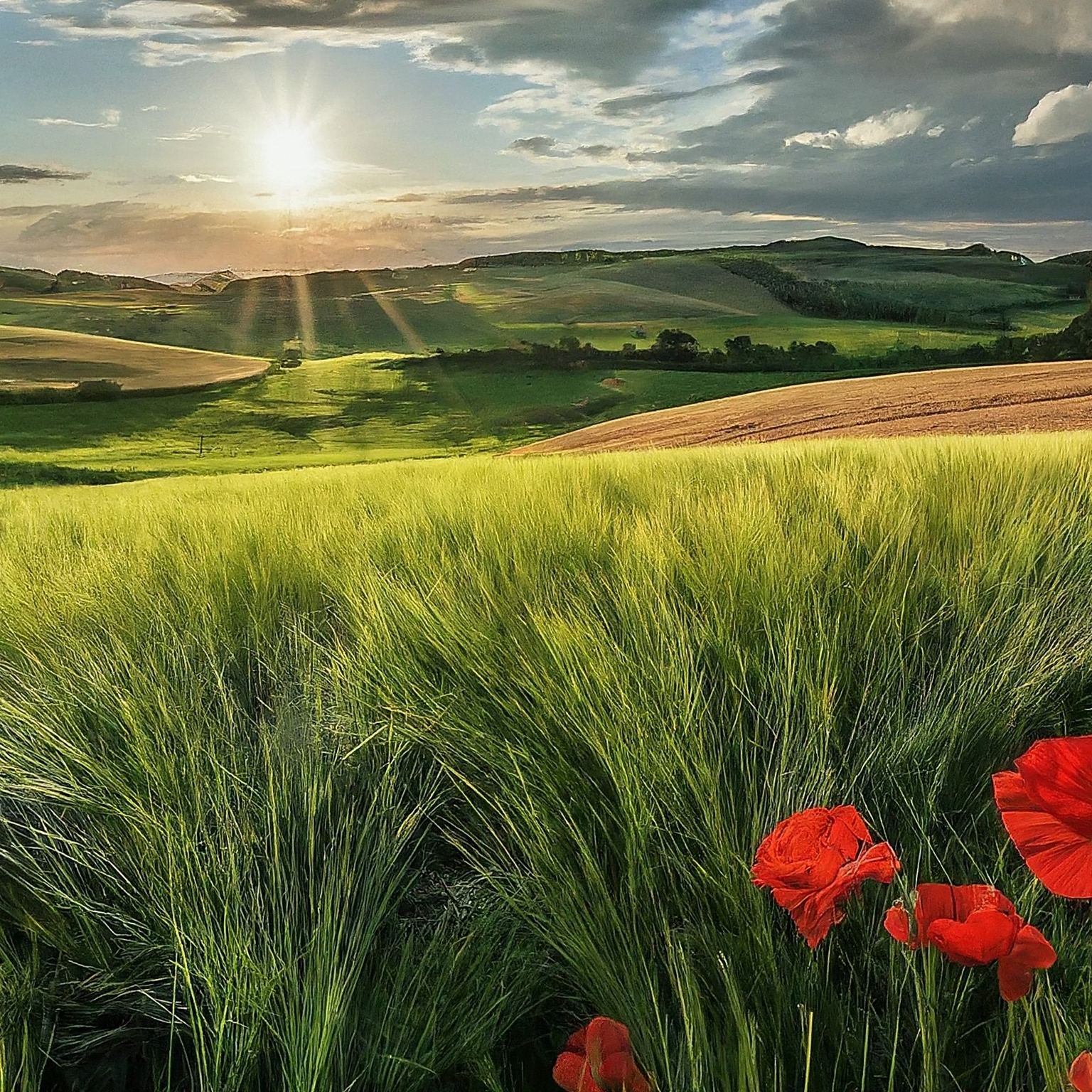 Rodinná farma Sedmikráska