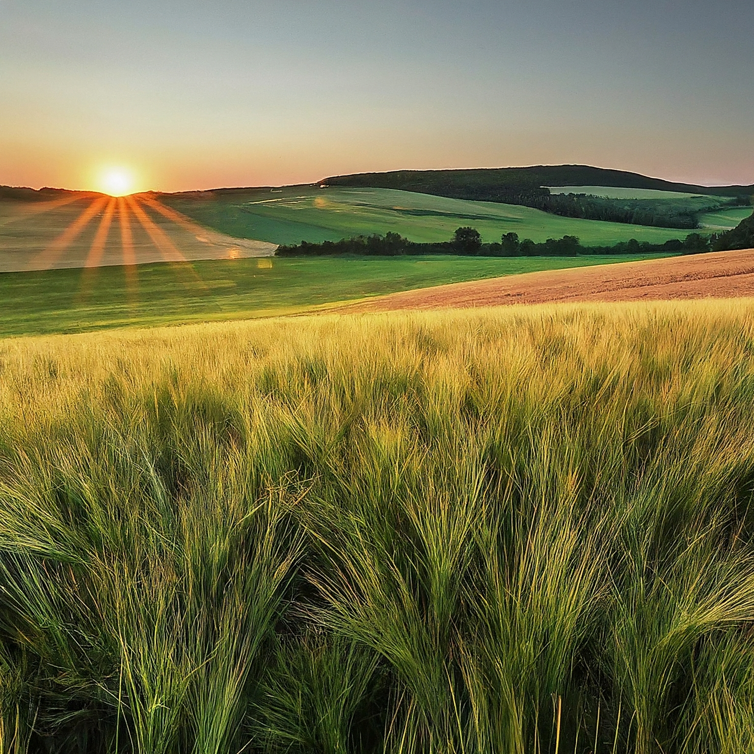 Hanka Mádlová, Ing. František Mádl