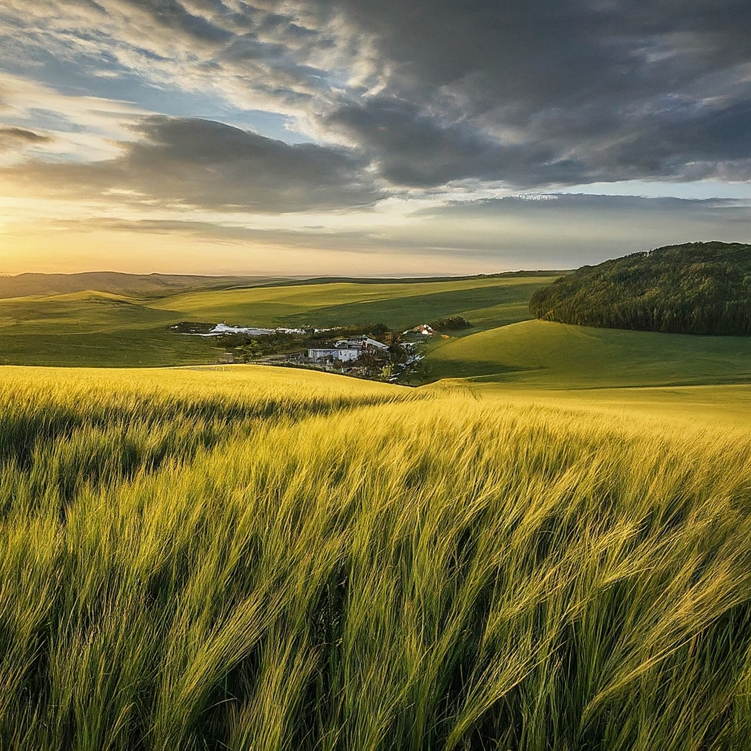 Dýňová jádra Herůfkovi