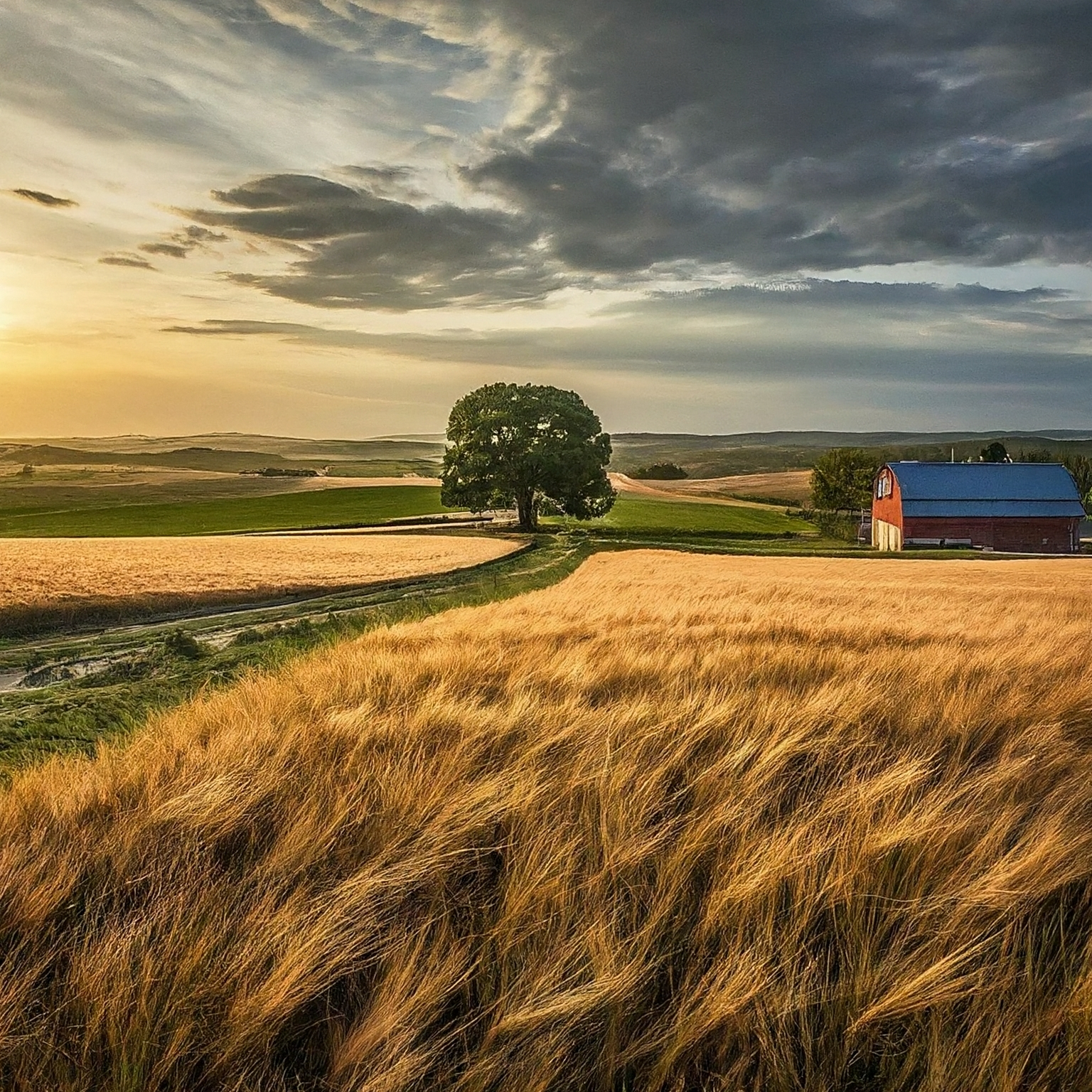 Sociální podnik RoKytka