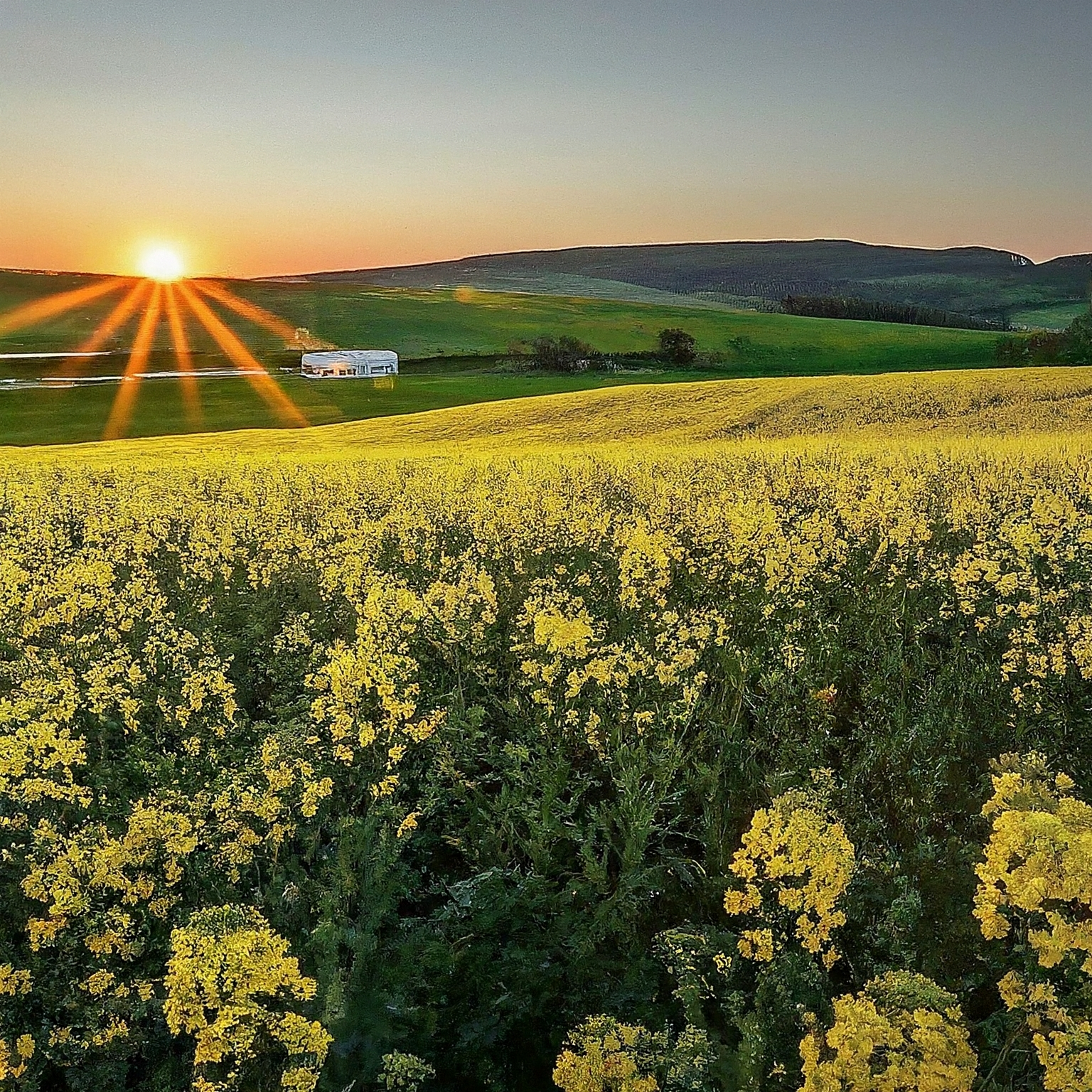 František Král, organic s.r.o.