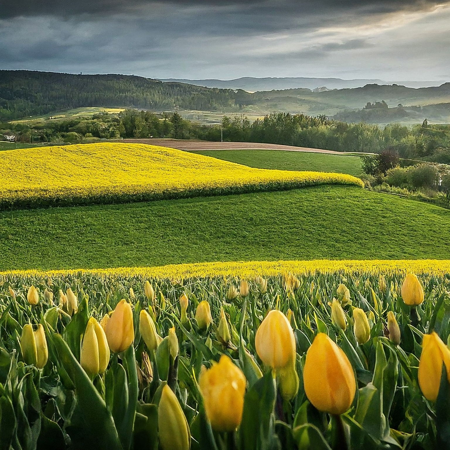 Zlatá farma Štětovice